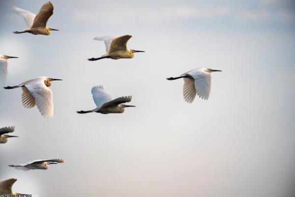 体育培训行业的创新与升级：未来发展前景